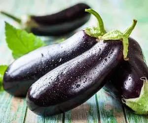 چطور تلخی بادمجان را بگیریم؟