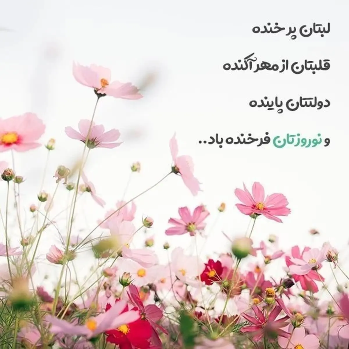 استوری3
