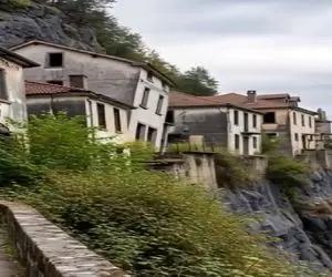 معماری طبیعت؛ گل بگیرن بخت صاحب این خونه رو فقط خونه ی اون اضافی بود این بلا سرش اومد