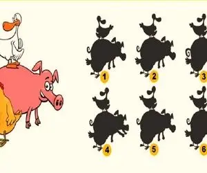 بازی فکری؛ بتونی سایه خوک و رفیقاشو پیدا کنی نمره هوشت از 20 از بیسته