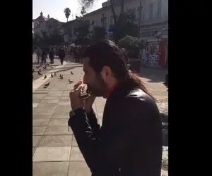 آواز خیابانی؛ ببینید آقا مو بلند چه احساسی ساز دهنی میزنه فقط رقص قشنگ پرنده ها!