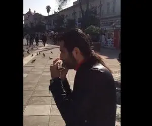 آواز خیابانی؛ ببینید آقا مو بلند چه احساسی ساز دهنی میزنه فقط رقص قشنگ پرنده ها!