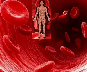 8 بمب خونگی خونساز؛ فقر آهن را با این دمنوش ها ی گیاهی که میگم بخور و درمان شووو!