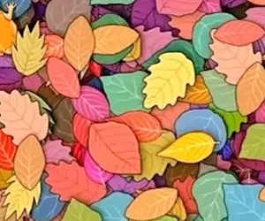 بازی فکری؛ اگه با هوشت دوپینگ کردی بین برگ ها حیوان مخفی رو پیدا کن