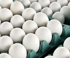 قیمت تخم مرغ امروز شنبه 9 اسفند 99