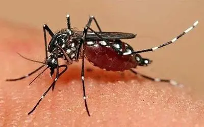 ویروس جدید چینی ۵۰۰۰ نفر را مبتلا کرد/ فعلا درمان ندارد!