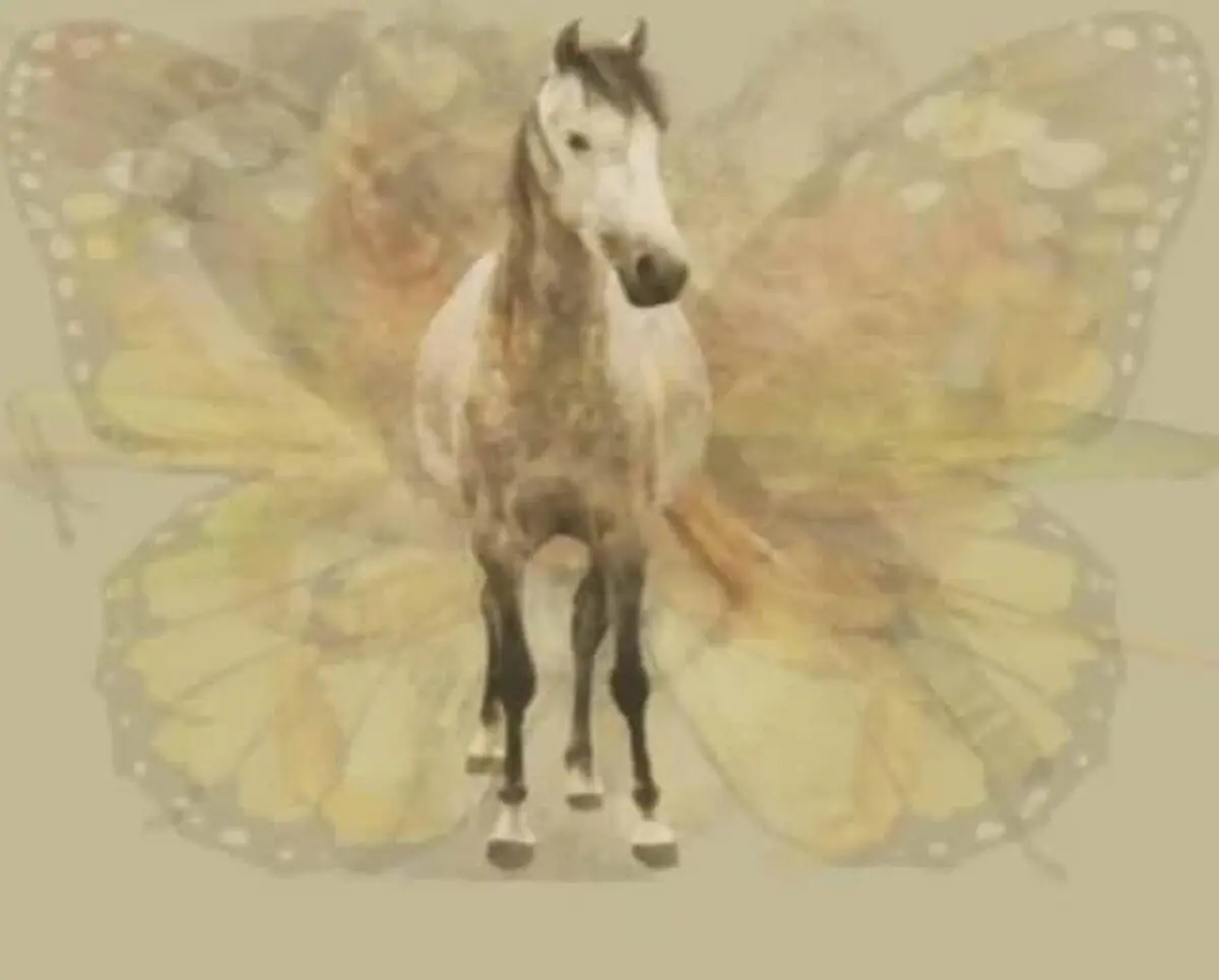 The Stallion