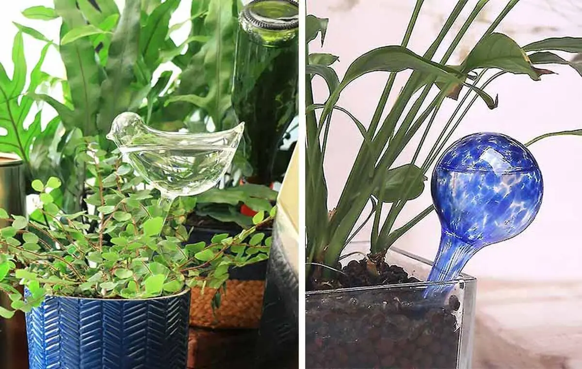 Methods-of-watering-plants-while-traveling-05