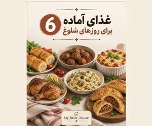 6 مدل غذای فریزری برای روز هایی که سرت شلوغه و تایم غذا درست کردن نداری
