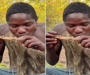 کباب خوک؛ بربرهای برهنه بعد سلاخی خوک کبد و جیگرشو خام میخورن با سس خرسی