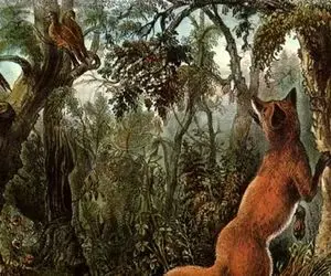 بازی فکری؛ اگه با هوشت زدی تو برجک تیزهوشا چهره حیوان های پنهان رو پیدا کن