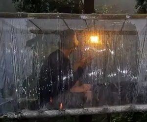 معماری خلاقانه؛ آقاهه با سلفون و چوب لای دو تا درخت واسه خودش پناهگاه ساخته