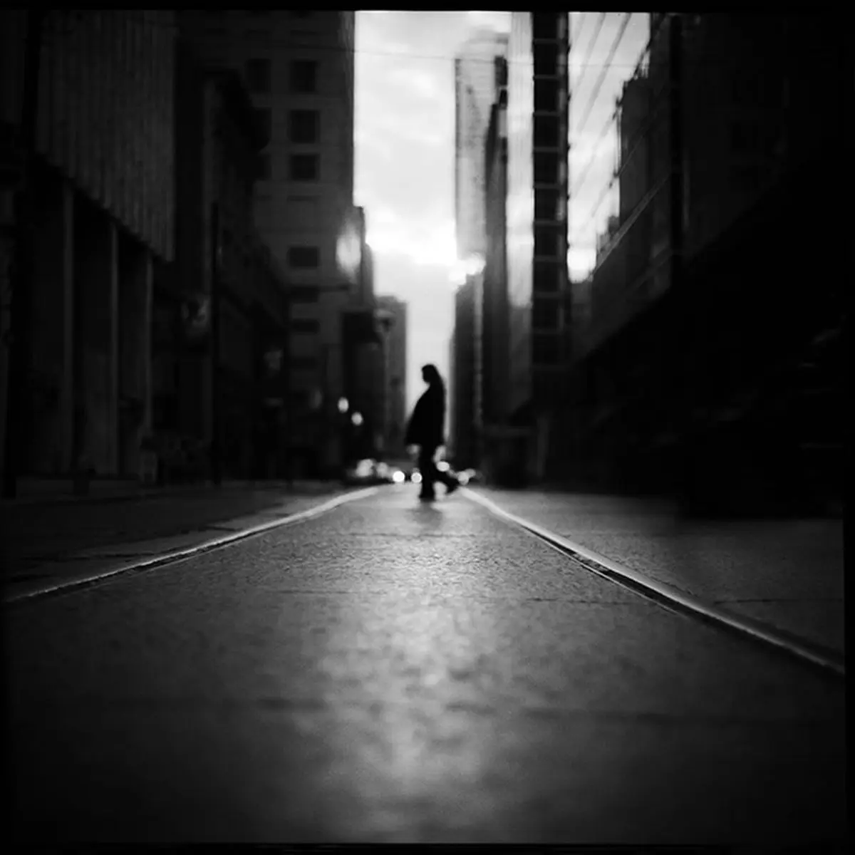 زنانگی در قاب