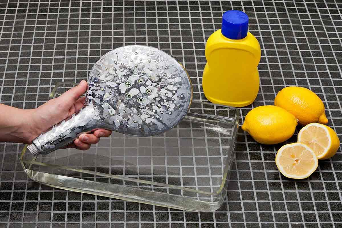 hand-shower_cleaning