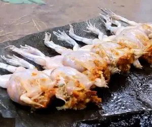 دیگه همه چی دیده بودیم جز قورباغه شکم پر؛ اون چیه که تو شکمشون پر کردن دارن میترکن