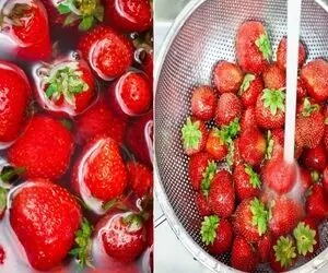 شستن توت فرنگی / با آب خالی تمیز نمیشه این خوشمزه روش پر از کرم ریزه ضدعفونی میخواد