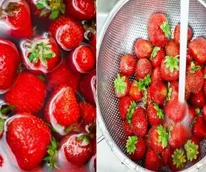 شستن توت فرنگی / با آب خالی تمیز نمیشه این خوشمزه روش پر از کرم ریزه ضدعفونی میخواد