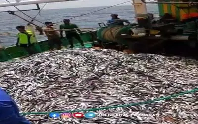 مستند کاوش؛ اوه دریا چه حالی به اینا داد انقد ماهی خورد به تورشون که هاج و واج موندن