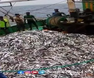 مستند کاوش؛ اوه دریا چه حالی به اینا داد انقد ماهی خورد به تورشون که هاج و واج موندن