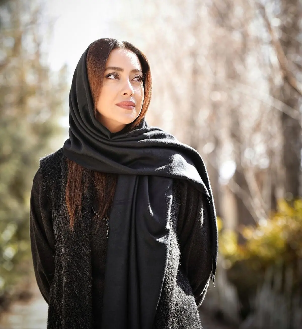 baharekianafshar_1614104035_2