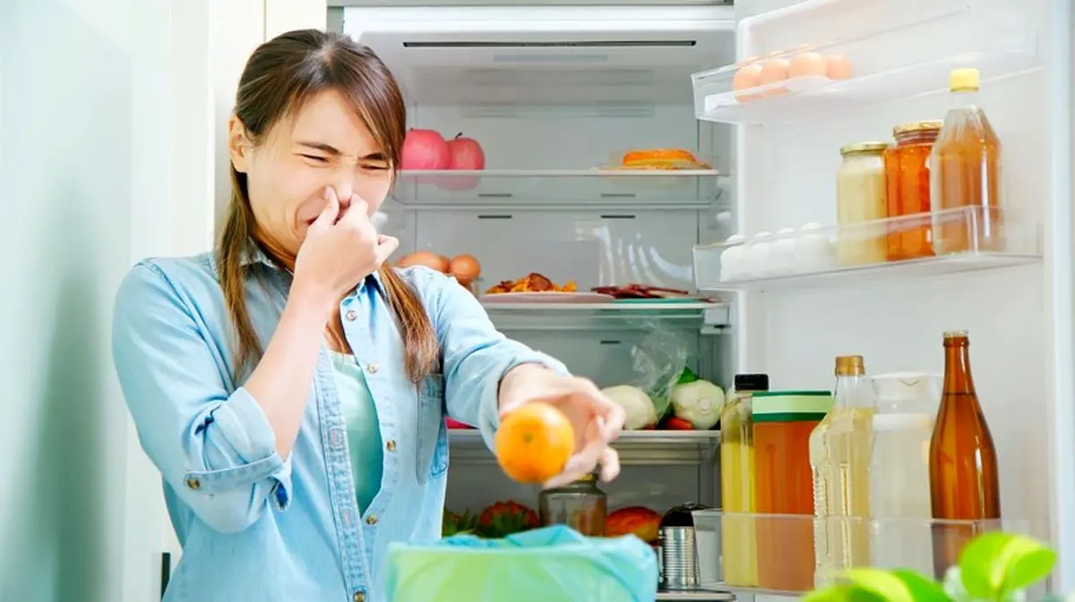 deep-clean-your-fridge-every-season-1659295778
