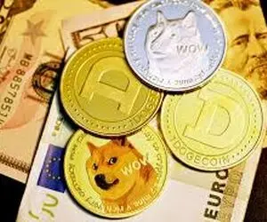 بررسی قیمت دوج کوین بیت کوین.. امروز( 25 مرداد)