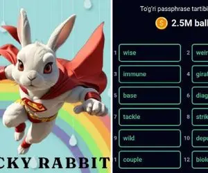 کد انیگما راکی رابیت (rocky rabbit)امروز دو شنبه 5 شهریور + آموزش وارد کردن