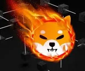 چرا دارندگان شیبااینو مضطرب شدند؟!