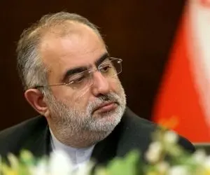 طعنه سنگین حسام الدین آشنا به مشارکت پایین در انتخابات ریاست جمهوری