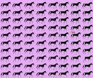 بازی فکری؛ درصد کمی از آدما تونستن اسب های متفاوت رو تو این تصویر پیدا کنن