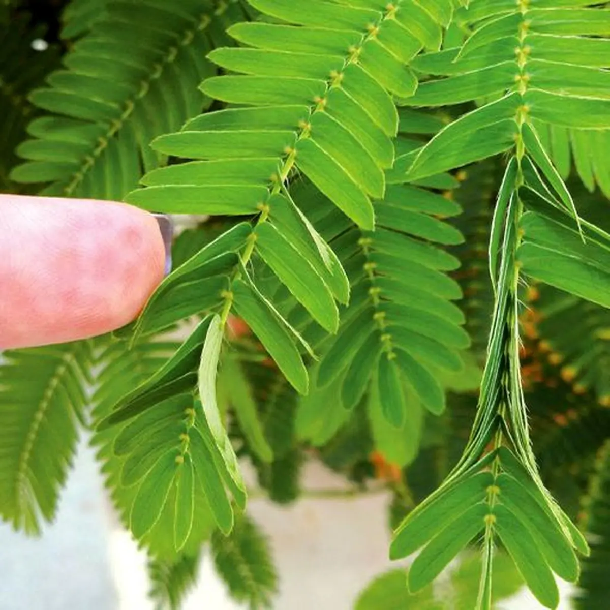 5ec4ee73e9c740.884094631589964403