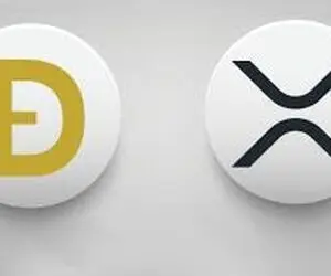 دلیل بیدارشدن دوج کوین و ریپل از خواب؟!