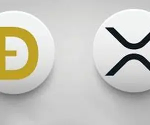 دلیل بیدارشدن دوج کوین و ریپل از خواب؟!