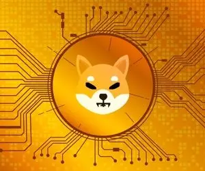 قدم هایی عجیب از شیبا اینو!