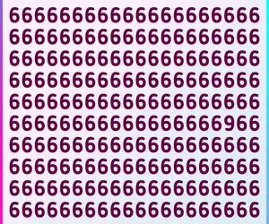 هوش تصویری با جواب؛ اگه رَنک اول باهوشایی و استاد داوینچی عدد 9 رو تو عکس پیدا کن!