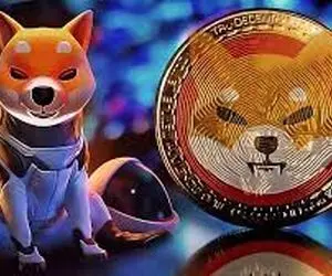 خروج شیبا از میم کوین؛حماسه ای در راه؟