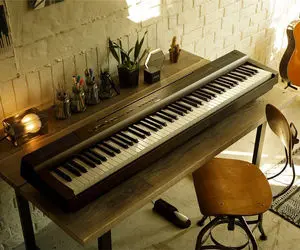 ویدیو های پر بازدید | نوازندگی باورنکردنی پیانو با چکش!