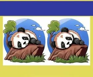 بازی فکری؛ فقط 5 درصد از 100 درصد تونستن تمام تفاوت های تصویر پاندای خسته رو پیدا کنن
