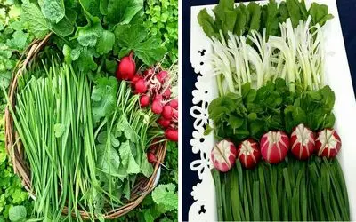 چگونه سبزی خوردن را تا 2 هفته تازه نگه داریم؟ / راهنمای گام به گام برای کیفیت سبزیجات