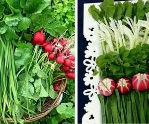 چگونه سبزی خوردن را تا 2 هفته تازه نگه داریم؟ / راهنمای گام به گام برای کیفیت سبزیجات