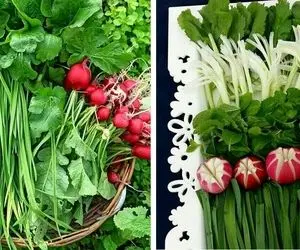 چگونه سبزی خوردن را تا 2 هفته تازه نگه داریم؟ / راهنمای گام به گام برای کیفیت سبزیجات