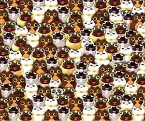 بازی فکری؛ خیلیا تلاش کردن پاندارو تو این تصویر پیداکنن نتونستن، بتونی بیگ لایک داری