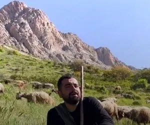 آواز اصیل؛ پسر چوپان در حال چرا گوسفندا تو دشت چه سوزدار بمرده مار رو خوند