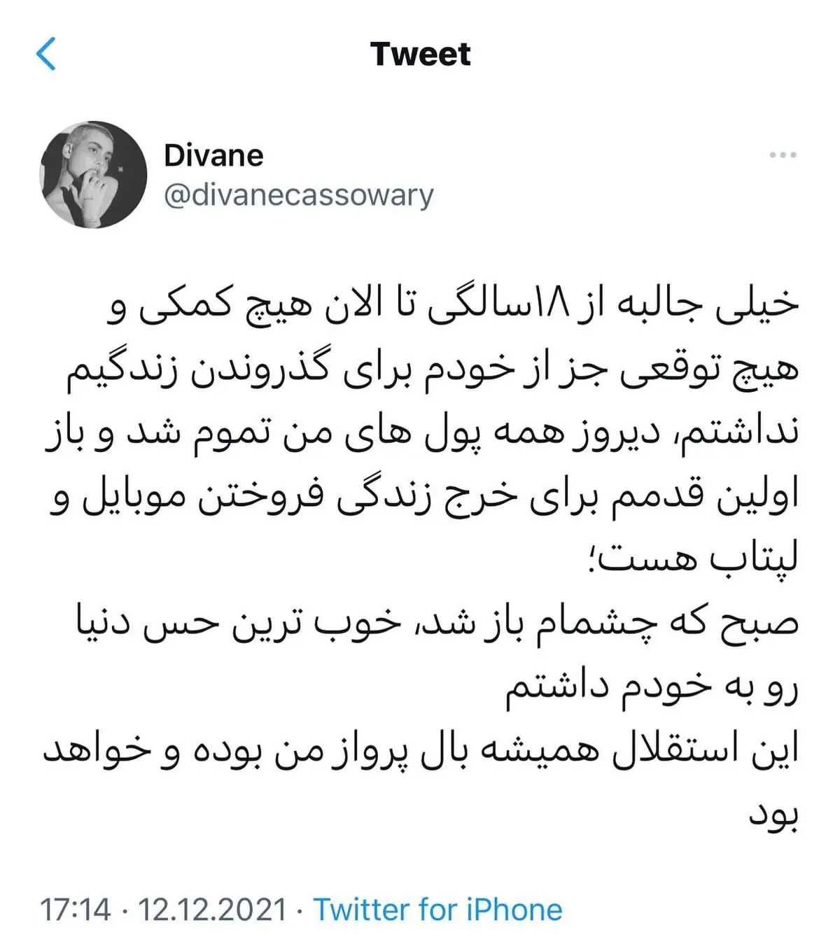 divanebycassowary_1639318606