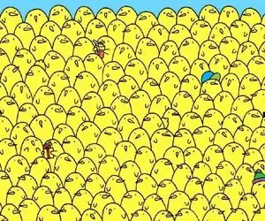 بازی فکری؛ اگه الدورم الدورم میکنی که سلطنت نخبگی داری لیموترش هارو بین جوجه ها دریاب