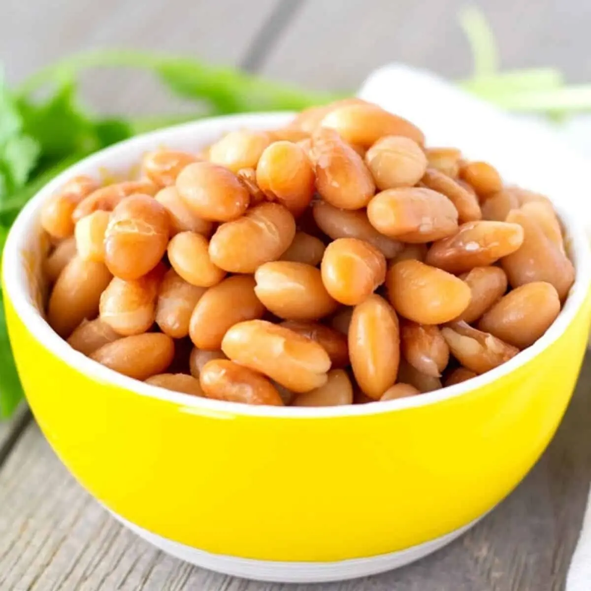 رژیم غذایی مناسب