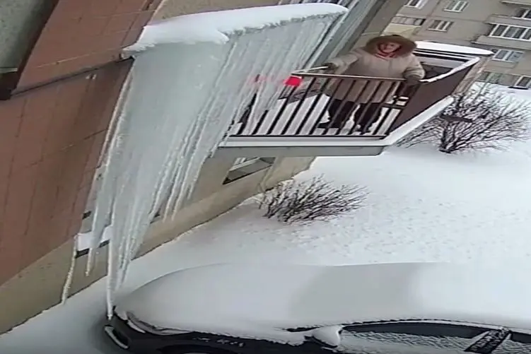 معماری طبیعت؛ مادر جان کاش قبل از این کار یه نگاهم به پایین مینداختی