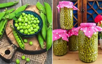 طرز تهیه کنسرو نخود فرنگی با تمام نکات / حفظ رنگ و طعم عالی کنسرو خونگی