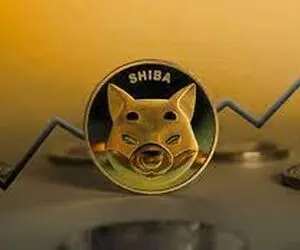 اتفاقی که شیبااینو رو زیر و رو کرد!