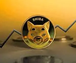 اتفاقی که شیبااینو رو زیر و رو کرد!